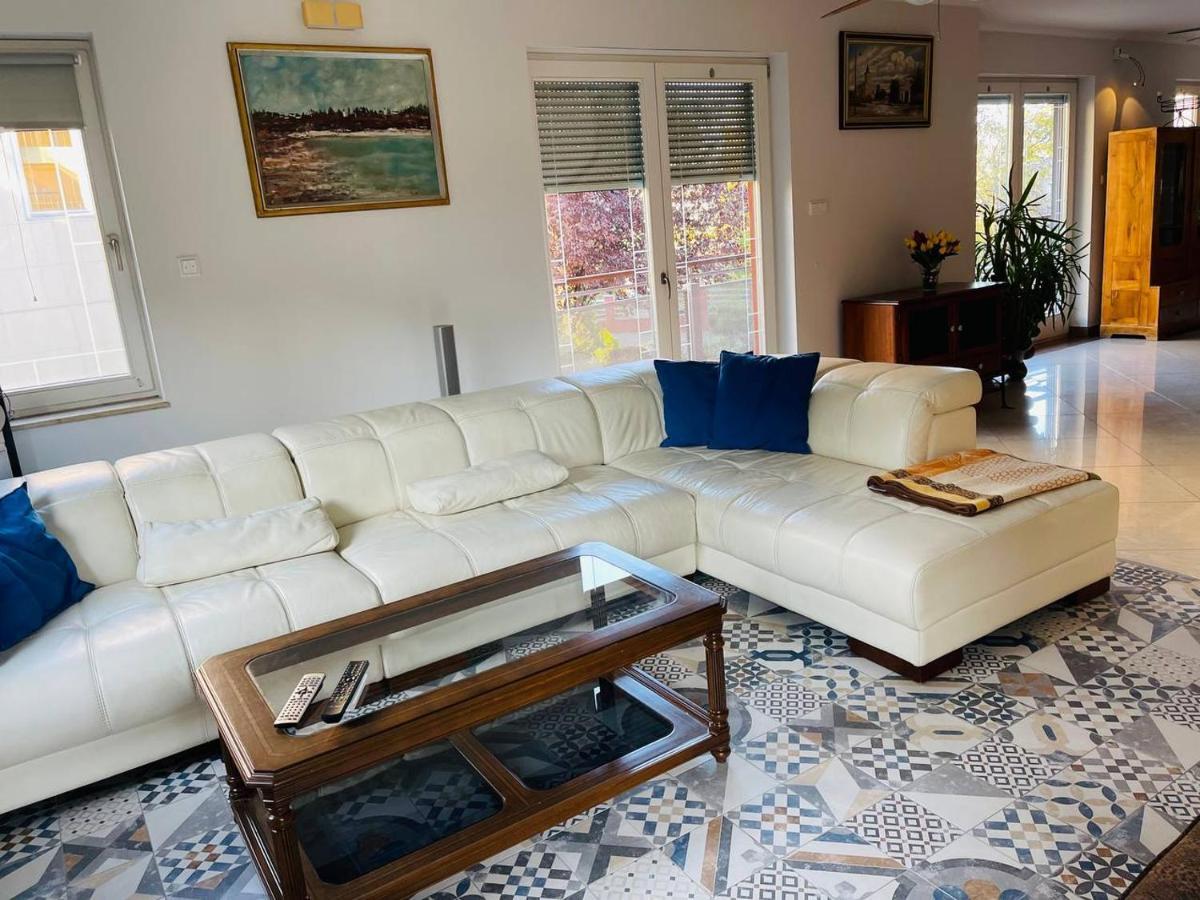 Rosehill Garden Family Villa With A Great Budapest View Extérieur photo
