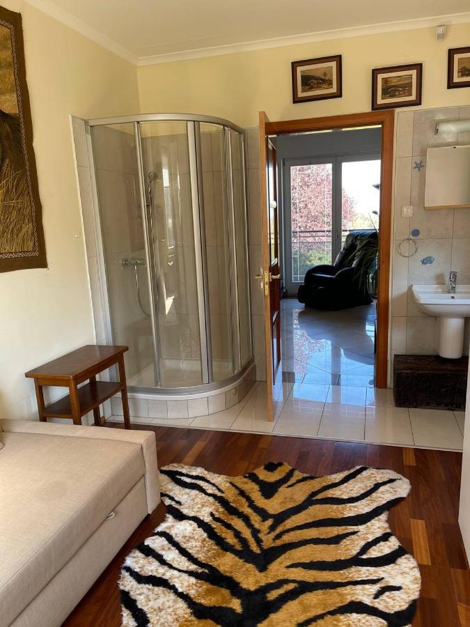 Rosehill Garden Family Villa With A Great Budapest View Extérieur photo