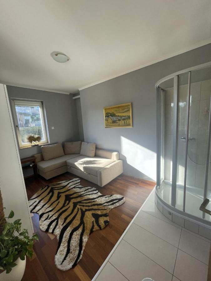 Rosehill Garden Family Villa With A Great Budapest View Extérieur photo