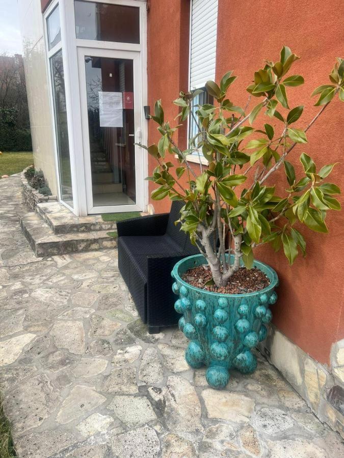 Rosehill Garden Family Villa With A Great Budapest View Extérieur photo