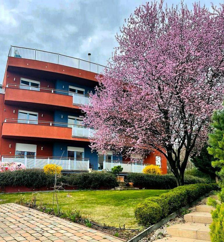 Rosehill Garden Family Villa With A Great Budapest View Extérieur photo